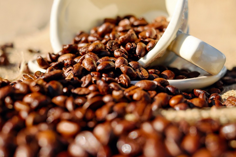 Top 3 najskuplje kafe na svetu